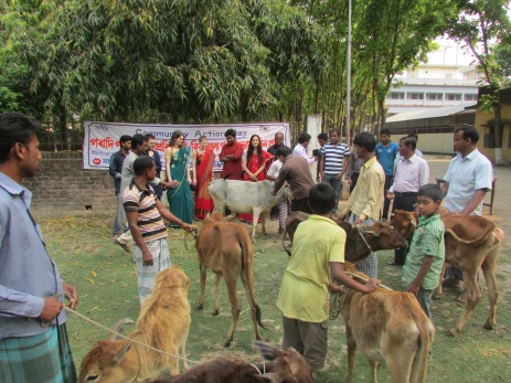 Livestock immunisation Community Action Day
